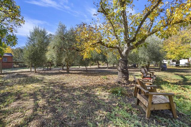 2551 Grant Street, Calistoga CA: https://media.crmls.org/mediaz/39c7f9fa-c1ef-4b85-96fd-ed90e3b574b5.jpg