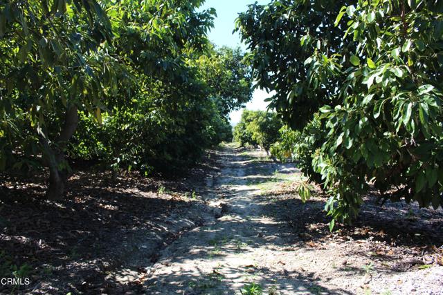 Detail Gallery Image 37 of 41 For 1550 Santa Paula St, Fillmore,  CA 93015 - 3 Beds | 1 Baths