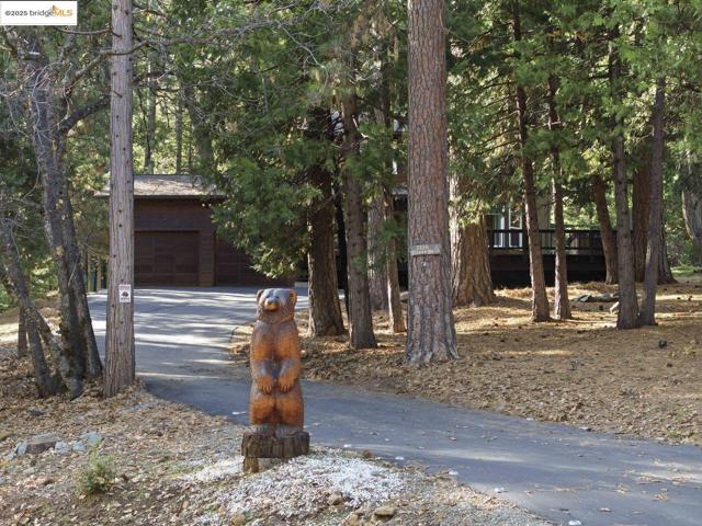 2136 Silver DR, Arnold CA: https://media.crmls.org/mediaz/39d60e31-1342-4449-ad86-45b755c987b8.jpg