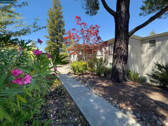 1345 Singingwood Ct, Walnut Creek CA: https://media.crmls.org/mediaz/39e3dc6a-5a23-4f41-8881-94440af79cb3.jpg