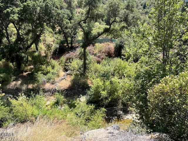 Detail Gallery Image 21 of 23 For 16840 Maricopa Hwy, Ojai,  CA 93023 - – Beds | – Baths