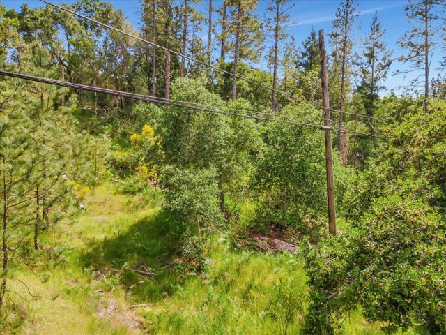 0 Zayante School Road, Felton CA: https://media.crmls.org/mediaz/39f612c0-a575-455f-9115-33531f5be3f9.jpg
