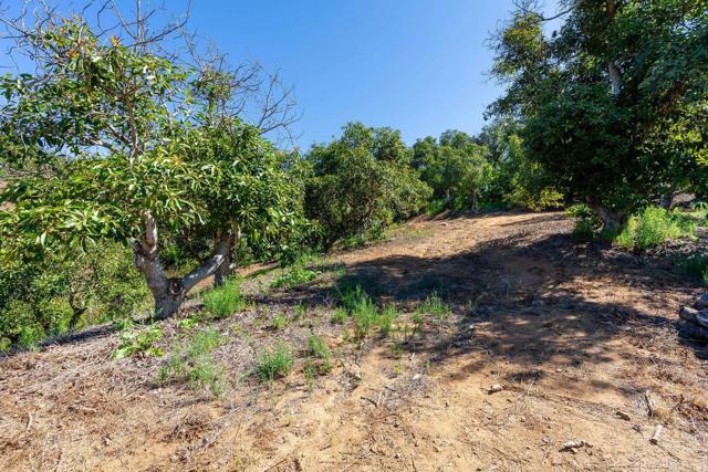 0 Wilt Road, Fallbrook CA: https://media.crmls.org/mediaz/39f834b6-1db7-4470-bb79-fb4e65b40f40.jpg