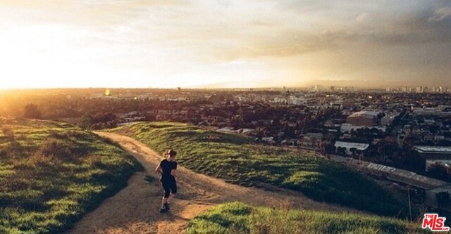 Baldwin Hills Stairs