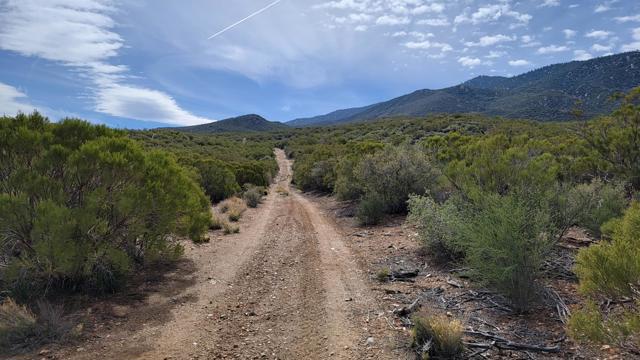 0 Palace Drive, Mountain Center CA: https://media.crmls.org/mediaz/3a018ad4-e15f-4394-a392-7966c9c788bb.jpg