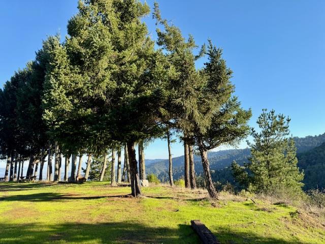 7175 Redwood Retreat Road, Gilroy CA: https://media.crmls.org/mediaz/3a04dcde-d3bd-400a-a4df-d89ddd98921a.jpg