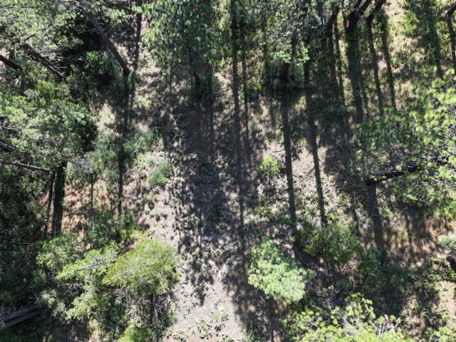 881 Onnontioga Street, South Lake Tahoe CA: https://media.crmls.org/mediaz/3a0d411a-65b5-4df1-a03a-bd809ebe4155.jpg