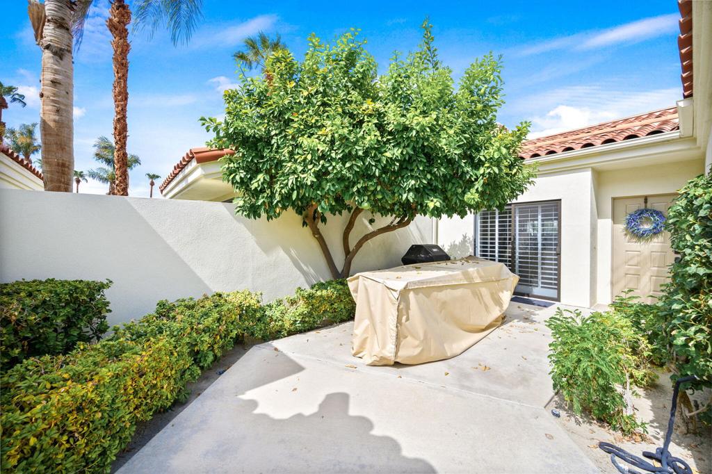 MLS #219138030DA image #6