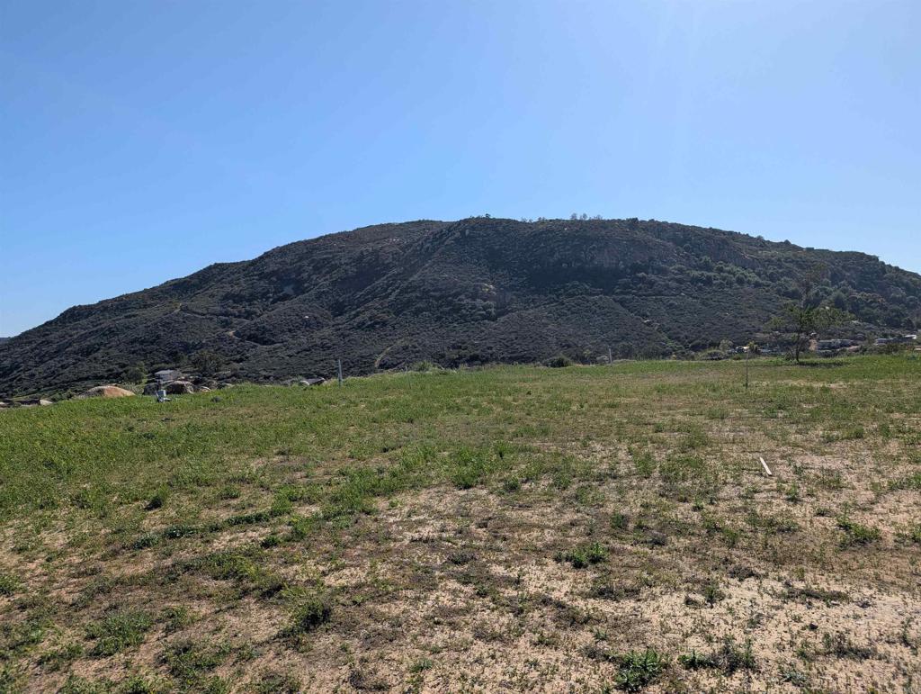 MLS #PTP2508267 image #19