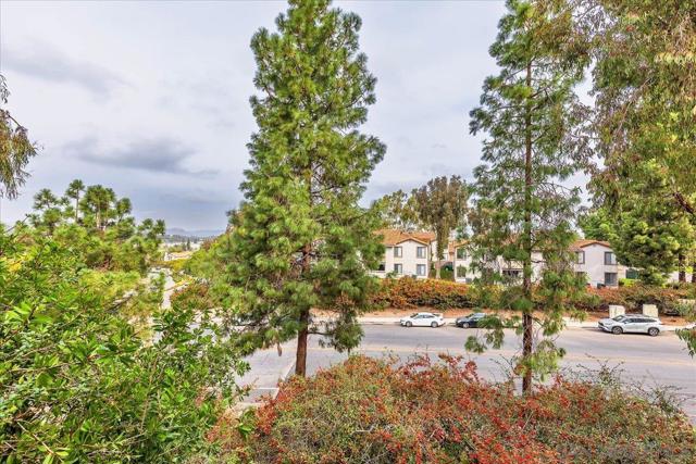 Image 35 of 41 For 16458 Avenida Venusto C  C