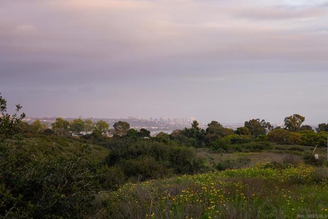 1776 Archer St, San Diego CA: https://media.crmls.org/mediaz/3a1e7ce0-0f2e-4d47-925d-1c78a90d5472.jpg