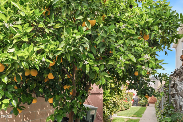 Detail Gallery Image 27 of 37 For 16 20 S Santa Anita Ave, Arcadia,  CA 91006 - – Beds | – Baths