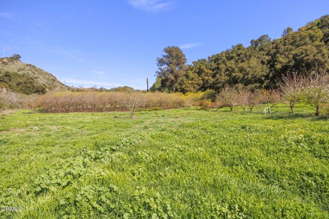 4620 Casitas Pass Road, Ventura CA: https://media.crmls.org/mediaz/3a20721b-59fa-4b16-9334-0e707fde80ee.jpg