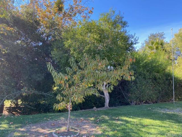 Detail Gallery Image 5 of 49 For 16656 Orilla Dr #2,  Rancho Bernardo (San Diego),  CA 92128 - 2 Beds | 2 Baths