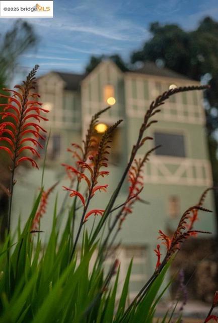 981 Indian Rock Ave, Berkeley CA: https://media.crmls.org/mediaz/3a32f193-0597-4e60-b1ed-8b3b9cc9632f.jpg