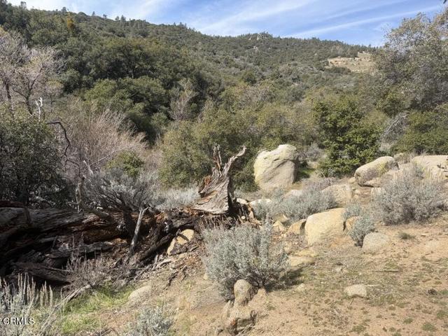 Detail Gallery Image 62 of 64 For 8275 Jawbone Canyon Rd, Weldon,  CA 93283 - 4 Beds | 0 Baths