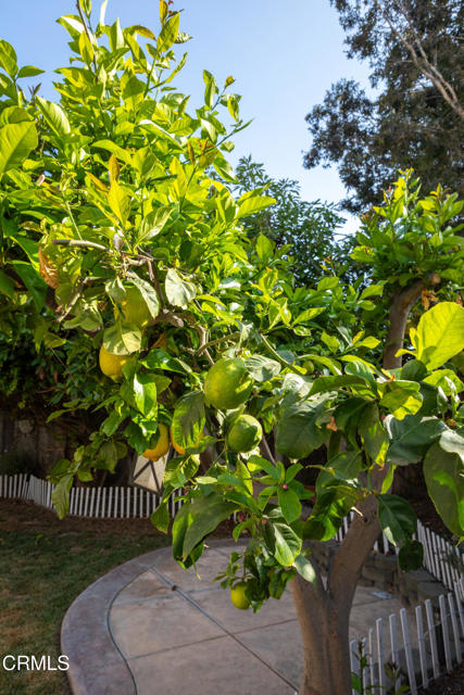 Detail Gallery Image 18 of 20 For 1675 Arroyo Seco Dr, Ventura,  CA 93004 - 4 Beds | 2/1 Baths