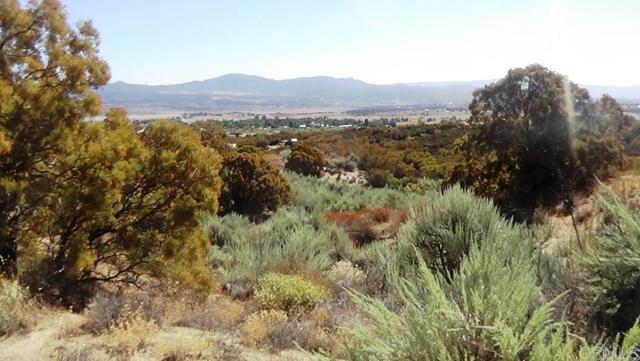 Detail Gallery Image 18 of 41 For 37245 Old Forest Rd, Anza,  CA 92539 - – Beds | – Baths