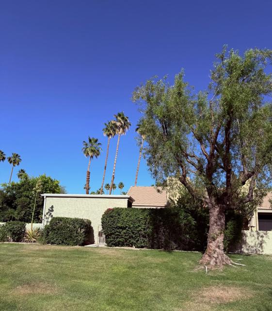 1665 S La Reina Way, Palm Springs CA: https://media.crmls.org/mediaz/3a410f69-bed7-4a86-9d85-48c2fe7a8196.jpg