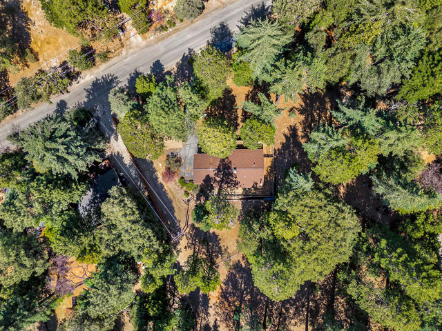 52551 Pine Ridge Road, Idyllwild CA: https://media.crmls.org/mediaz/3a431b15-fbef-4f6d-a452-2b57bf4206fe.jpg