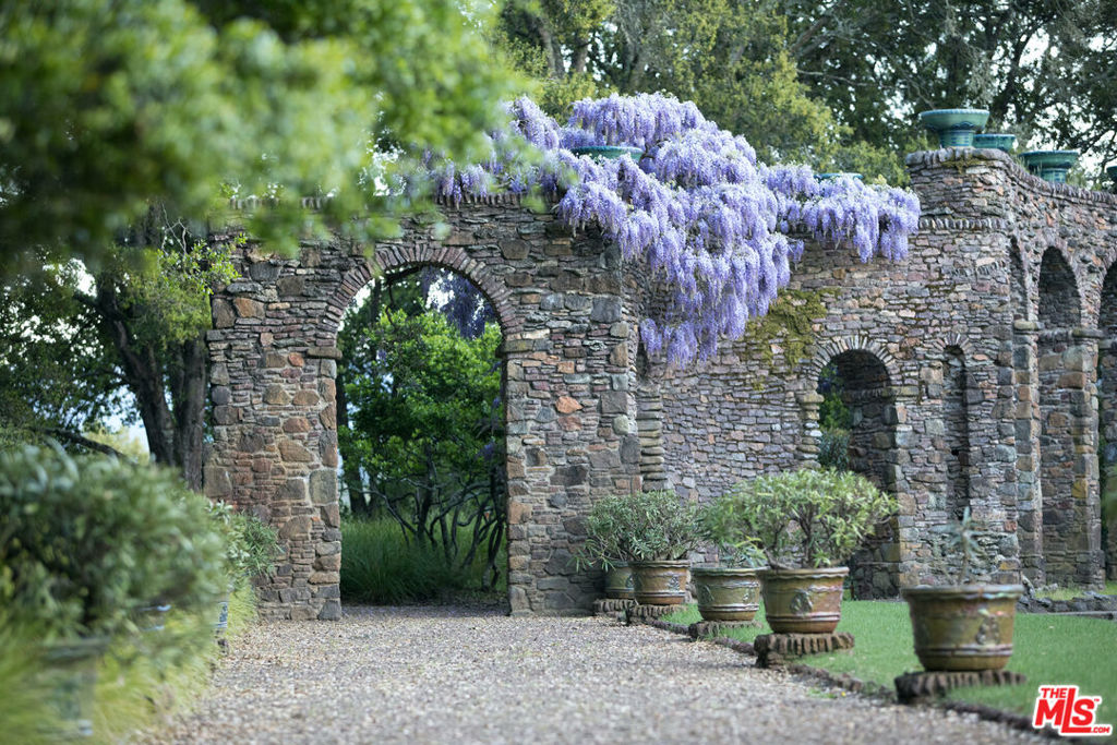 Image 15