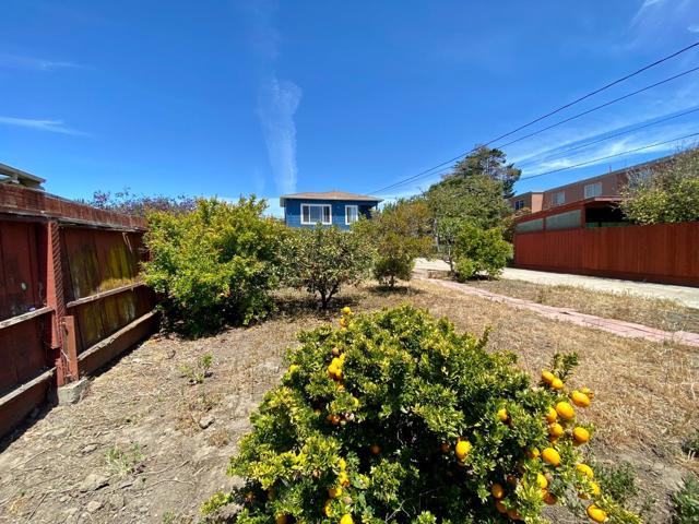 1076 Grand Avenue, South San Francisco CA: https://media.crmls.org/mediaz/3a5444c1-20f9-41f4-b48c-6227cbca3bcc.jpg