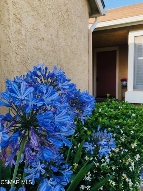 31310 Village 31, Camarillo CA: https://media.crmls.org/mediaz/3a59127c-0fe0-4000-b672-5a3436e849cd.jpg