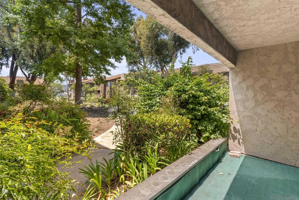 10225 Caminito Cuervo - photo 19