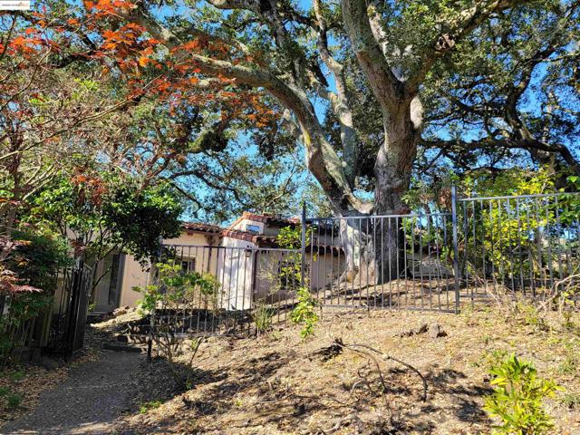 40 Hilldale Ct, Orinda CA: https://media.crmls.org/mediaz/3a6bd518-84aa-4a04-ac51-b32a9d4d5832.jpg