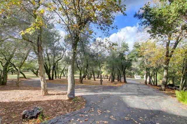 3591 Deer lake Park Rd, Julian CA: https://media.crmls.org/mediaz/3a72e517-4146-474e-920c-22d592e6f95f.jpg