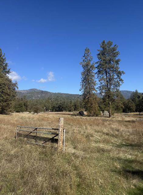 2795 State Highway 49, Mariposa CA: https://media.crmls.org/mediaz/3a77bf21-bb41-4ea5-a103-c6b8641a30c1.jpg