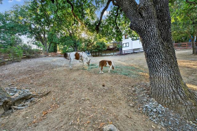 15098 Elm, Monte Sereno CA: https://media.crmls.org/mediaz/3a88ff2f-b2d4-429d-9042-47e80f8ae98f.jpg