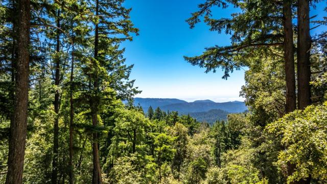 12338 First Fork Road, Los Gatos CA: https://media.crmls.org/mediaz/3a8d2db6-47b7-4217-86b7-935ebb8d6fff.jpg