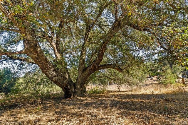 Detail Gallery Image 22 of 40 For 120 Ac Vacant Land Mesa Grande Rd, Santa Ysabel,  CA 92070 - – Beds | – Baths