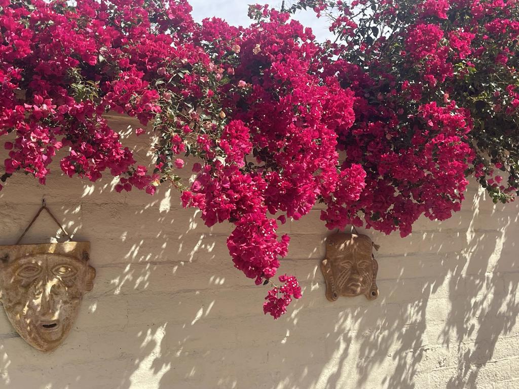 MLS #219132776DA image #7