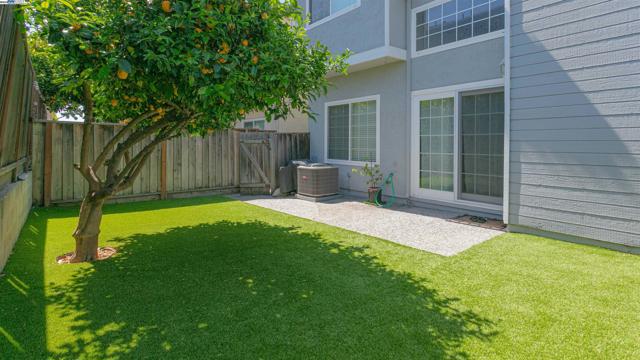 37076 Saint Edwards St, Newark CA: https://media.crmls.org/mediaz/3a8fdf8a-7a46-4ab8-b07d-8ccc3b31754e.jpg
