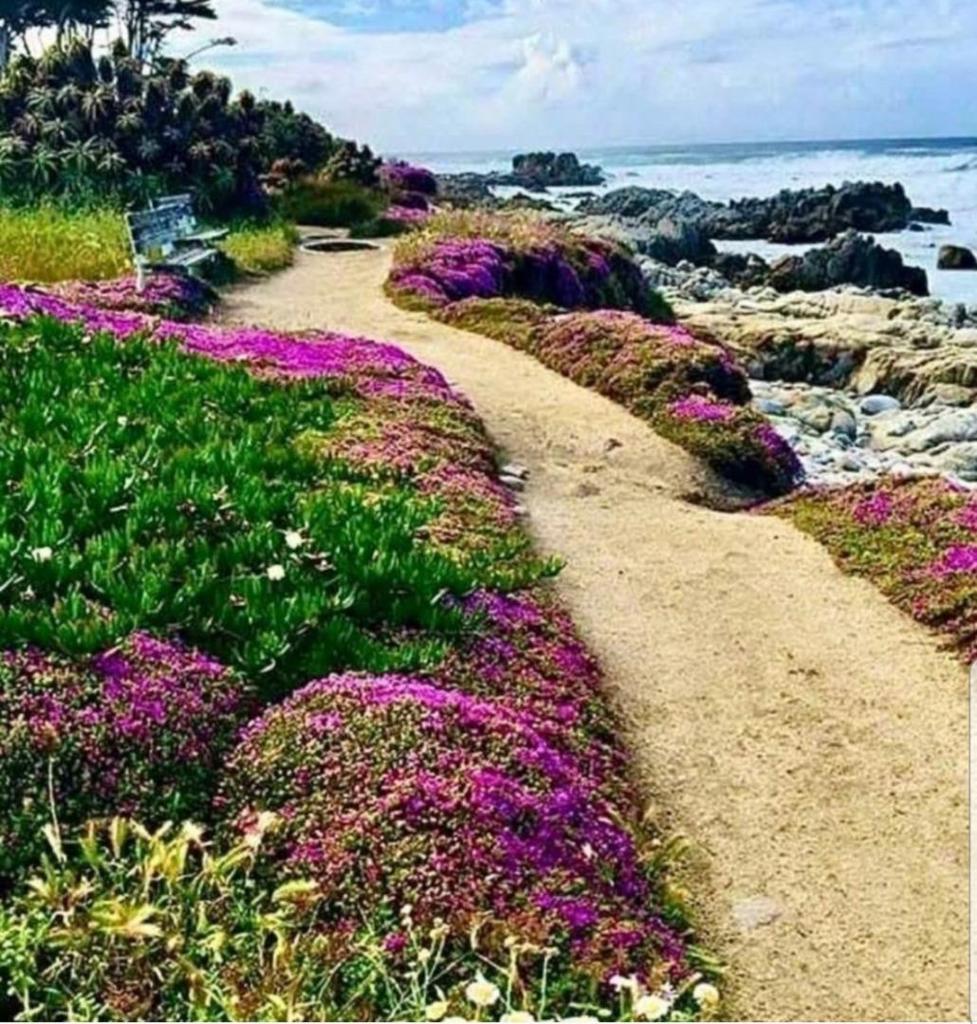 https://media.crmls.org/mediaz/3a936f15-c09b-4858-b9f3-992741d0ade9.jpg?preset=X-Large