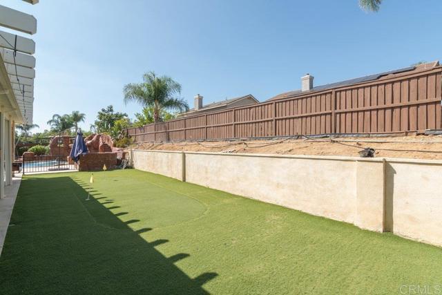 Grassy Back Yard