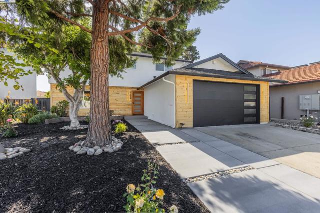 1568 Fallen Leaf Dr, Milpitas CA: https://media.crmls.org/mediaz/3aa5b158-21fa-4ecd-8a7e-6383fa6722ac.jpg