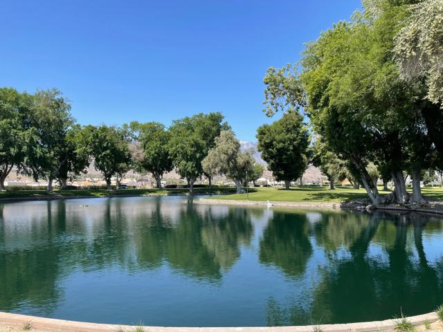 The Date Palm CC Lake