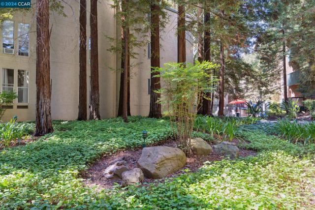 155 Sharene Ln, Walnut Creek, California 94596, 1 Bedroom Bedrooms, ,1 BathroomBathrooms,Condominium,For Sale,Sharene Ln,41072595