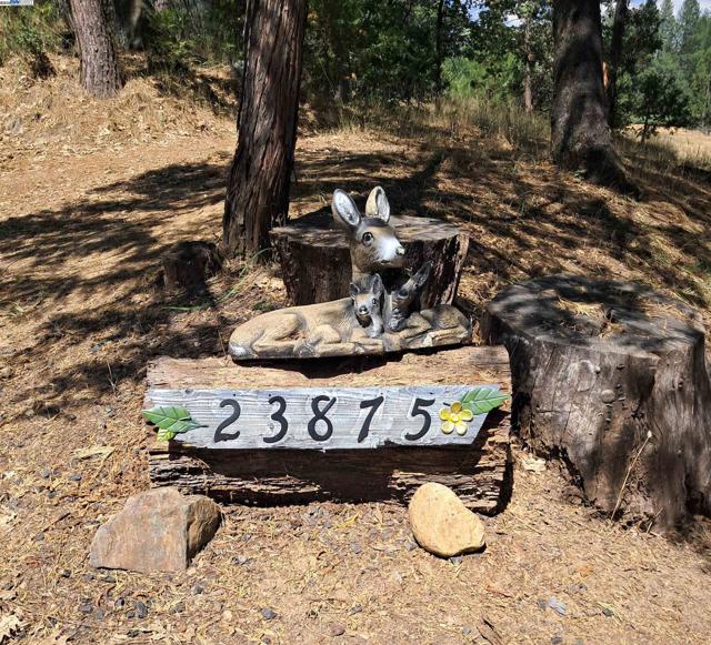 23875 Marshall Way, Twain Harte CA: https://media.crmls.org/mediaz/3ab035db-374d-4751-8bc9-6db9076c57f3.jpg
