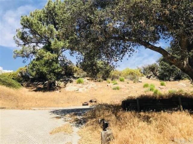 8079 Pine Ct, Pine Valley, California 91962, ,Land,For Sale,8079 Pine Ct,CRPTP2400183