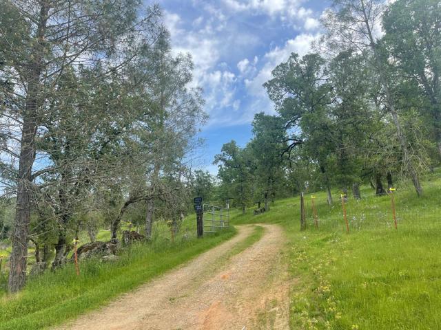 0 Avacado Road, Oroville CA: https://media.crmls.org/mediaz/3abdc177-9999-48a0-a60e-7305c6b1b241.jpg