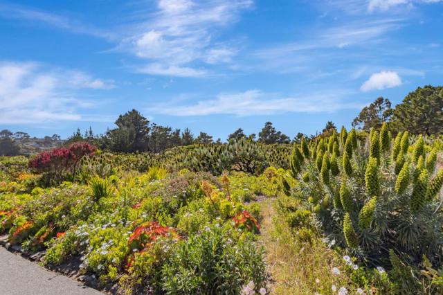 1025 Tamarind Street, Montara CA: https://media.crmls.org/mediaz/3ac77302-b9b1-487c-8b17-7d1aba053eeb.jpg