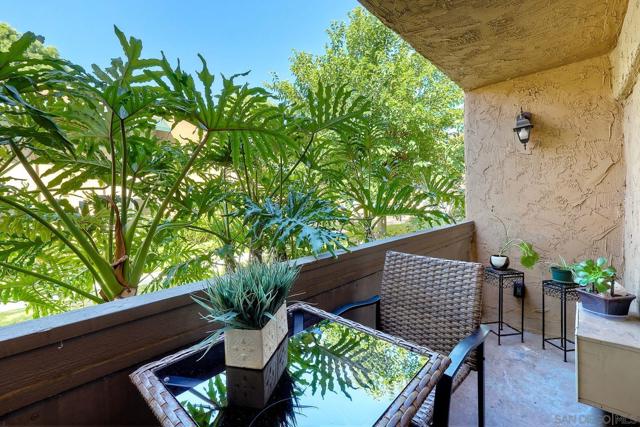 6955 Alvarado Rd, San Diego CA: https://media.crmls.org/mediaz/3ac81d0d-82cf-4495-a7b4-79049ae4c6f0.jpg