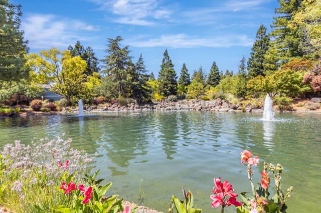 11563 Country Spring Court, Cupertino CA: https://media.crmls.org/mediaz/3ad2dc69-5154-4cce-9310-c56cf98138c8.jpg
