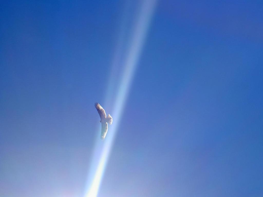 https://media.crmls.org/mediaz/3ad5d707-8e96-43e2-94da-cc098f6513b4.jpg?preset=X-Large