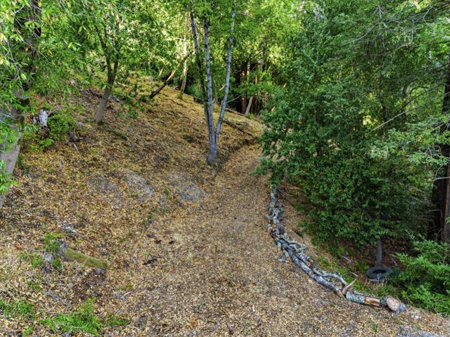 12 Montecito Road, Woodside CA: https://media.crmls.org/mediaz/3ae30671-7c6e-4739-bbe6-f8ddf6ca725f.jpg