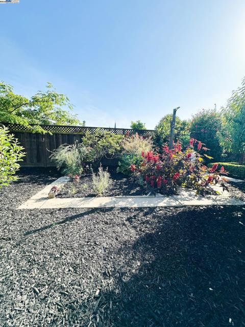 6916 Graham Avenue, Newark CA: https://media.crmls.org/mediaz/3ae540d5-2271-4993-95cb-4a84663b9059.jpg